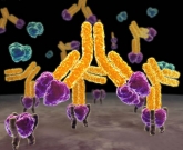 Anticorpo monoclonal