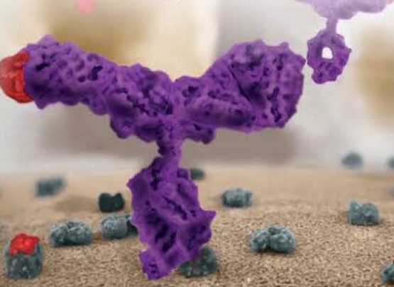 belimumabe e lúpus eritematoso sistêmico