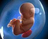 Complicações gestacionais e reumatismo 