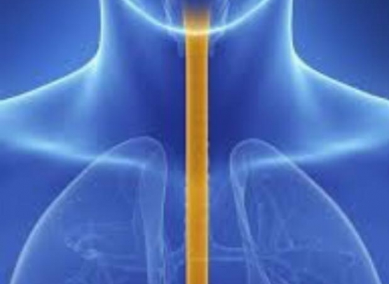 Disfagia e doenças reumáticas 