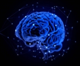 dor disfuncional e fibromialgia