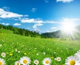 Fibromialgia: como melhorar?