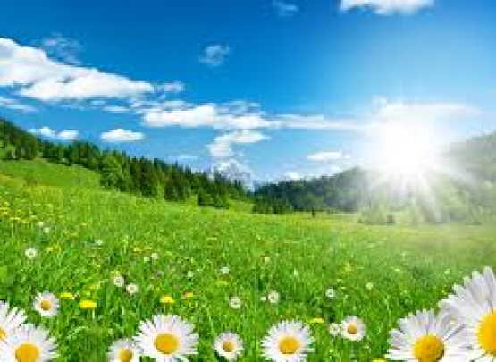 Fibromialgia: como melhorar?