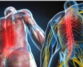 fibromialgia ou espondiloartrite