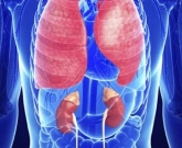 granulomatose de Wegner