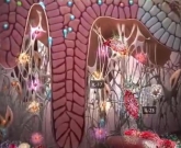 psoríase tratamento