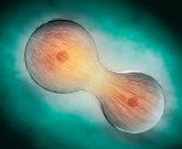 Reumatismo e câncer 