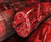 sarcopenia: a epidemia negligenciada