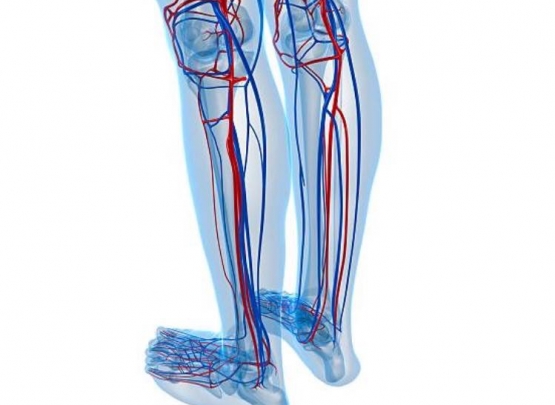 úlcera perna e enfermidaes reumáticas